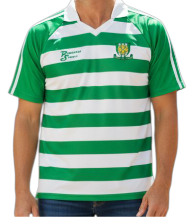 Limerick retro jersey